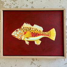 Load image into Gallery viewer, Rockcod 44 x 33 cm Framed