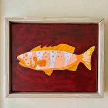 Load image into Gallery viewer, Coral Trout 28 x 23 cm Framed