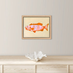 Coral Trout 28 x 23 cm Framed