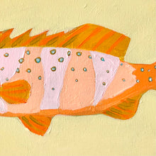 Load image into Gallery viewer, Coral Trout 28 x 23 cm Framed