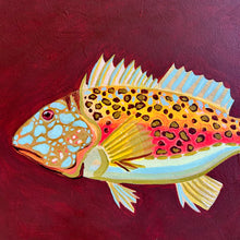 Load image into Gallery viewer, Rockcod 44 x 33 cm Framed