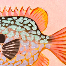 Load image into Gallery viewer, Longear Sunfish 33 x 33 cm Framed