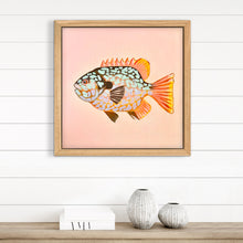 Load image into Gallery viewer, Longear Sunfish 33 x 33 cm Framed