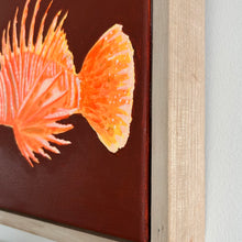 Load image into Gallery viewer, Common Lionfish 23 x 23 cm Framed