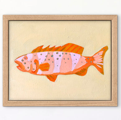 Coral Trout 28 x 23 cm Framed