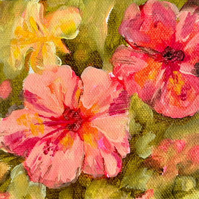 Hibiscus 10 x 10 cm