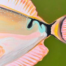 Load image into Gallery viewer, Reef Triggerfish 110 x 93 cm Framed