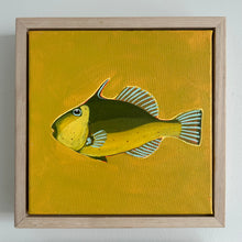 Load image into Gallery viewer, SOLD / Leatherjacket 23 x 23 cm Framed