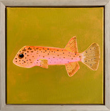 Load image into Gallery viewer, SOLD / Spotted Pink Puffer Fish 23 x 23 cm Framed
