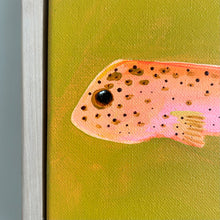 Load image into Gallery viewer, SOLD / Spotted Pink Puffer Fish 23 x 23 cm Framed